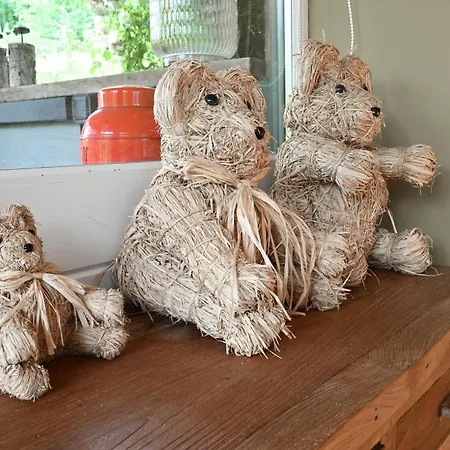 Petit Bouddha 別荘 *